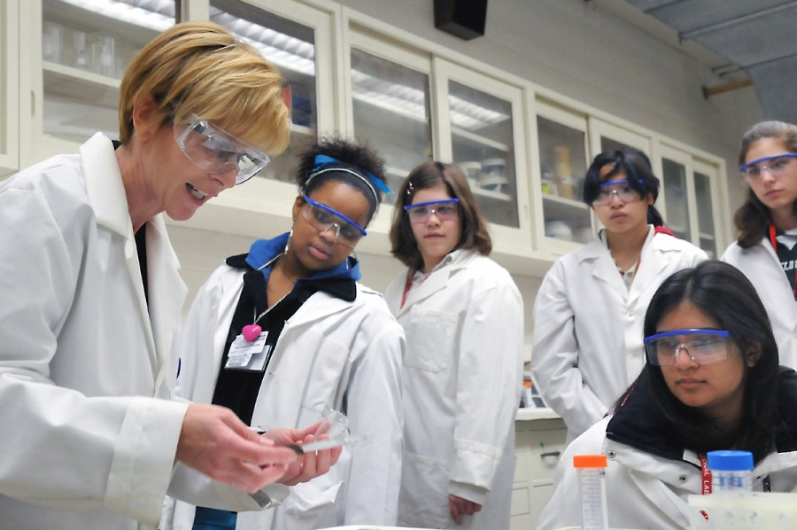 Students perform science experiments in a school laboratory