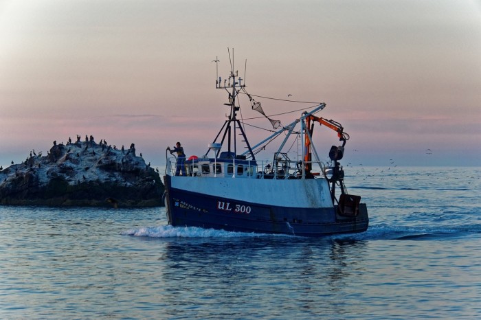 A fishing vessel heads to the mooring for nightfall