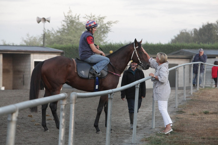 Rider on horseback talking to a someone over a fence