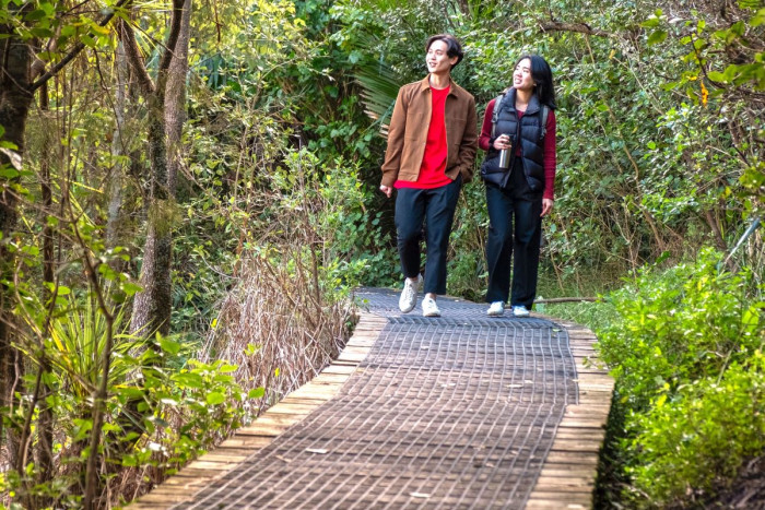 Two people dressed in casual outdoor clothes walk along a boardwalk in a New Zealand forest 